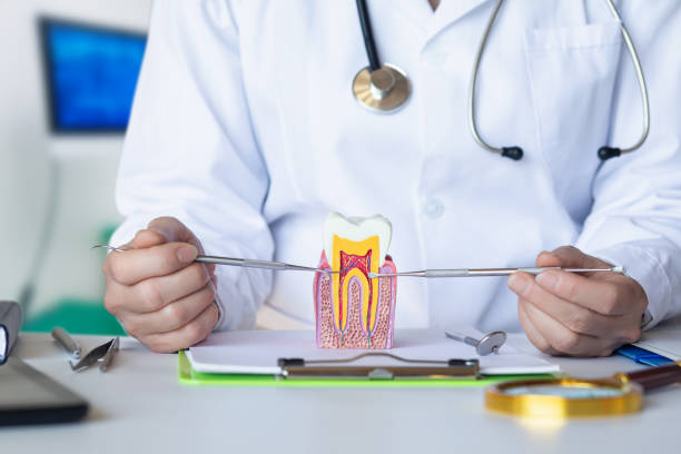 Best Emergency Tooth Extraction in Linden, AZ